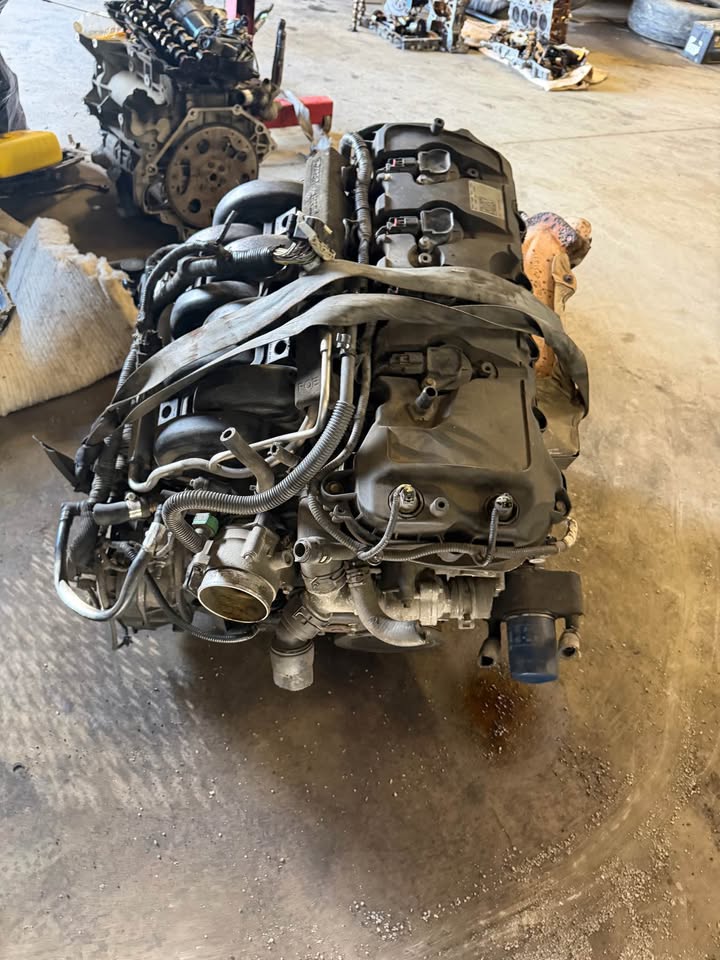 Motor Ford Coyote 5.0L v3